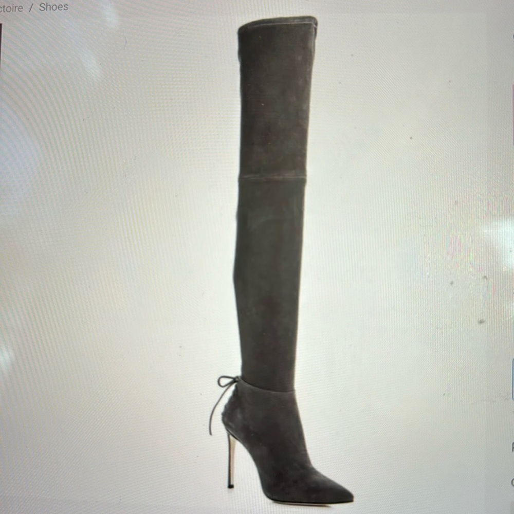 Pour La Victoire Caterina Suede Over the Knee Pointed Stiletto Boots